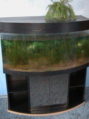 Продам аквариум на 500 литров с тумбой.Кемерово
