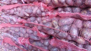 Картофель Розара  от 20 тонн в Кемерово